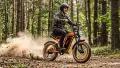 Електрическо колело PVY A20 1000W 48V 20Ah, снимка 8