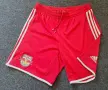Ред Бул(Залцбург)/Red Bull(Salzurg) adidas 2012-13 Home shorts - рамер L, снимка 1