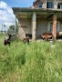 продавам ярета, снимка 5