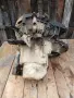 Скоростна кутия (ръчна 5-степенна JB1 / JB3) за Renault Megane / Megane Scenic 1.6e (K7M), снимка 7