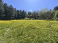 Топ Панорамен парцел с.Тополово, снимка 7