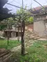 Просторна къща с нов покрив, голям двор, кладенец и панорамна гледка – с. Добрина, снимка 17