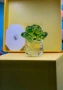 НОВО!!! Оригинална кристална фигурка Swarovski Asian Symbols Fortune Cabbage, символ на богатство, снимка 1
