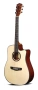 Акустична китара  Alysee A120-N Dreadnought , снимка 1