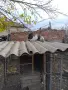 Продавам гълъби, снимка 2