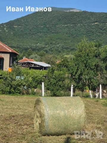 Бали, снимка 4 - За селскостопански - 54682770