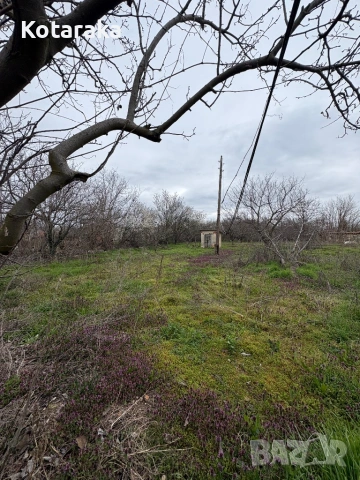 Къща в село Тюркмен, снимка 4 - Къщи - 54734995