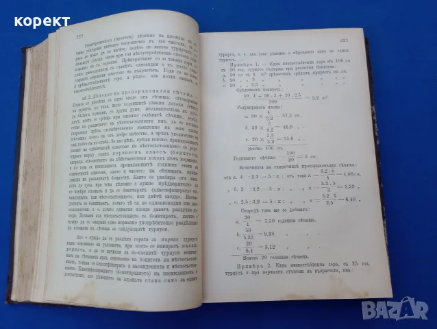 1893г. Развъждане на горите, снимка 10 - Антикварни и старинни предмети - 55501361