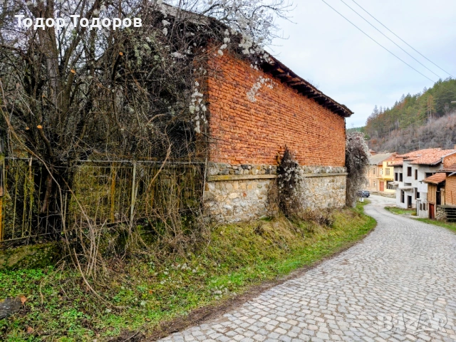 Парцел в с. Дивля, област Перник, снимка 14 - Парцели - 54305864
