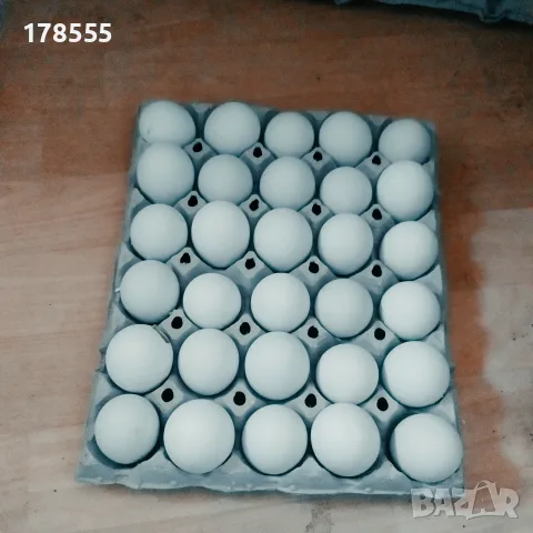 Яйца за люпене от Араукана 