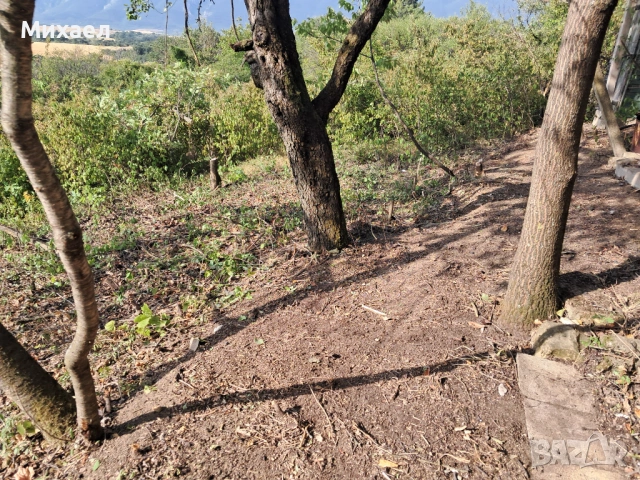 Имот близо до Враца, снимка 5 - Вили - 54058424