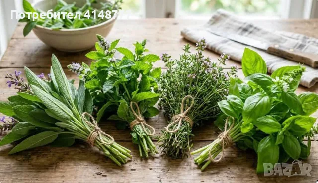 🌿 Букет Свежи Билки Мix– Свежи Градински Билки! , снимка 4 - Градински цветя и растения - 55502449