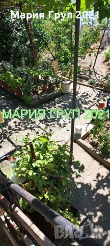 🏡✨ НОВO ПРЕДЛОЖЕНИЕ ОТ "МАРИЯ ГРУП 2021"! ✨🏡