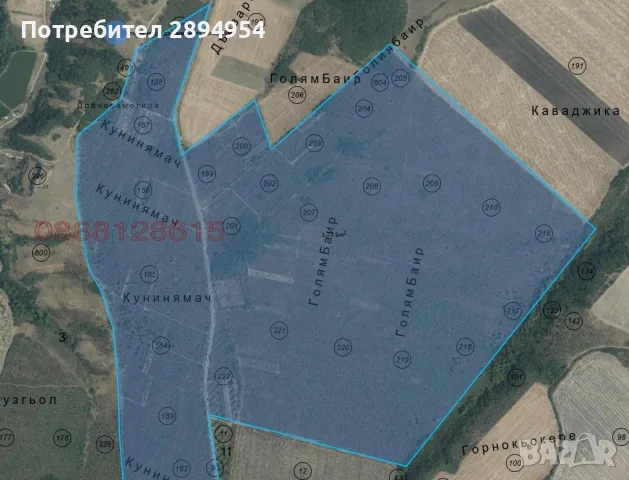 Продавам стари лозя