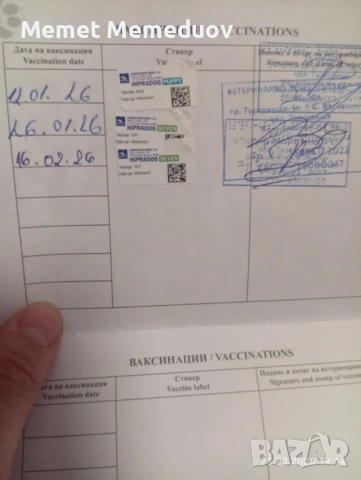 Йорки последното момченце за мераклии, снимка 7 - Йоркширски териер - 53974312