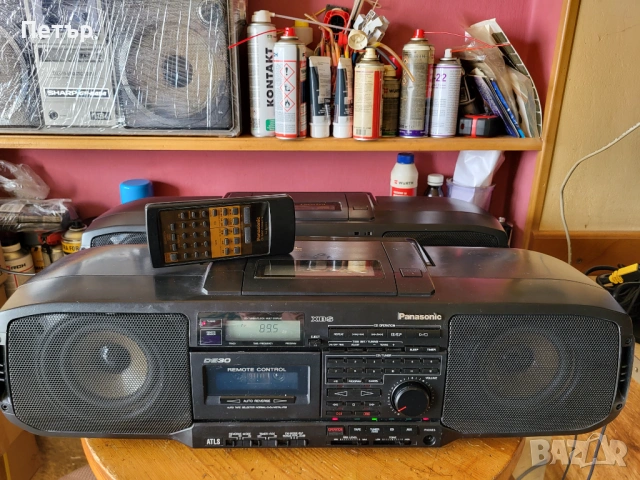 Panasonic RX-DS30