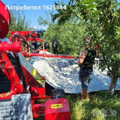 Предлагам бране на сливи и други плодове с машина Мая