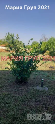 🏡 С. ЗЕТЬОВО, ОБЛАСТ СТАРА ЗАГОРА – САМОСТОЯТЕЛНА ДВУЕТАЖНА КЪЩА С ГОЛЯМ ДВОР! 🏡, снимка 7 - Къщи - 55589496
