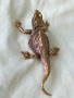 Бронзова фигурка на гущер 🦎 31634, снимка 2