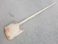 Фурнаджийска лопата за хляб , снимка 2
