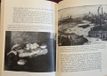 Визуална история на английското изобразително изкуство / A Concise History of English Painting, снимка 17