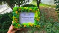 Картина декорирана със скандинавски мъх и ваше лого или пожелание по избор, снимка 3