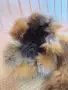 Луксозна дамска шапка от естествен косъм с опашка от Лисица, снимка 3