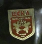 ЗНАЧКА на ЦСКА, снимка 1