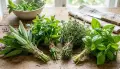 🌿 Букет Свежи Билки Мix– Свежи Градински Билки! , снимка 4