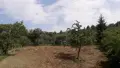 Почистване на терени с горски мулчер и трактор, снимка 8