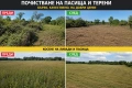 ПОЧИСТВАНЕ НА ПАСИЩА И ТЕРЕНИ, снимка 1