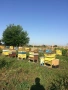 Пчеларско оборудване, снимка 2