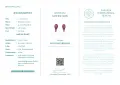 Сребърни обеци с Рубини Vivid Red със сертификат , снимка 4