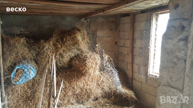 Продавам къща в село червенци, снимка 8 - Къщи - 55168150
