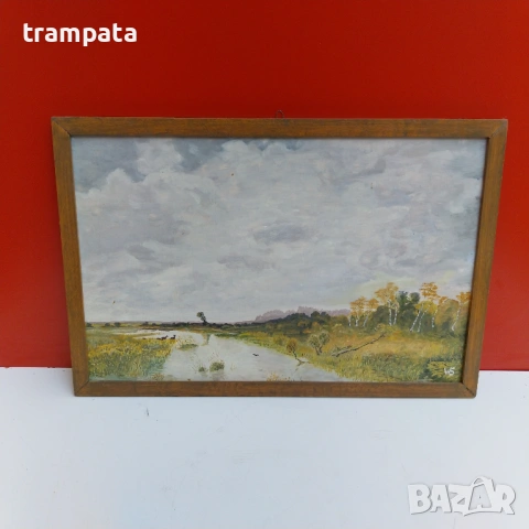 НАЙ ДОБРАТА ОФЕРТАСтара немска картина Подписана  WS (1950-60)
