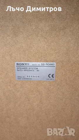 SONY  SS - RG660, снимка 9 - Тонколони - 55482465