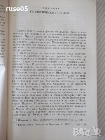 Книга "Сваленик - Петър Камбуров" - 180 стр., снимка 3 - Специализирана литература - 54347125