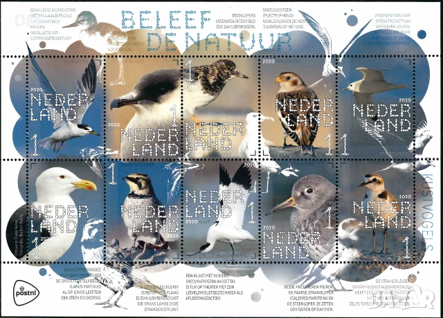 Нидерландия 2020 - птици MNH