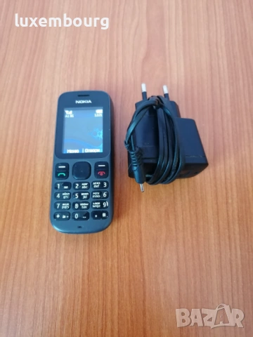 Nokia 100