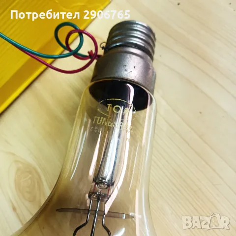 Стара голяма крушка, снимка 2 - Крушки - 55391567
