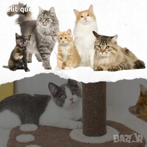 Драскалка за котки 38 см с играчки и плюшена основа , снимка 2 - За котки - 55172010