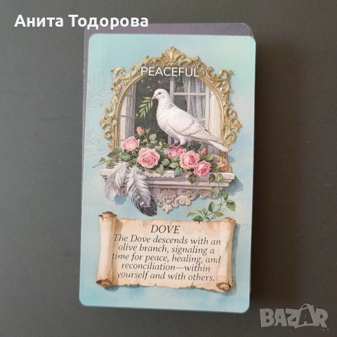 Animal oracle