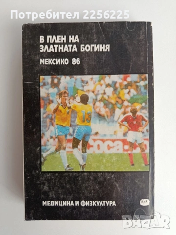 В плен на златната Богиня, снимка 4 - Художествена литература - 54453323