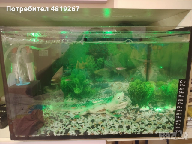 Продавам Аквариум 33л нов , снимка 3 - Рибки - 54555775