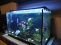 Аквариум 60 л, снимка 2