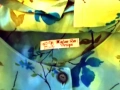 6Xl Нова лека риза Madam Ras, снимка 5