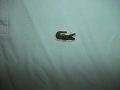 Тениска LACOSTE  мъжка,С, снимка 2
