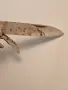 Джобен нож Буковец, снимка 4