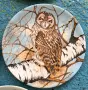 Декоративни порцеланови чинии Coalport, снимка 7
