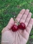 Продавам Череши, снимка 9